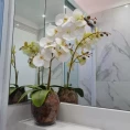 LATAS DECORADAS 9 orquidea no vaso de vidro