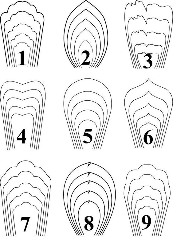 FLORES: DESENHOS PARA IMPRIMIR 7 risco de folhas desenhos para imprimir