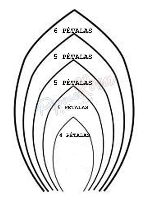 FLORES: DESENHOS PARA IMPRIMIR 23 risco de folhas desenhos para imprimir