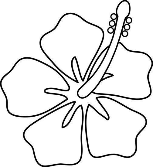 FLORES: DESENHOS PARA IMPRIMIR 20 risco de folhas desenhos para imprimir