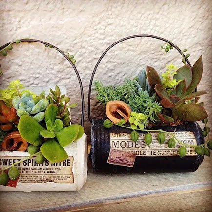 Latas decoradas vintage Plantinhas suculentas