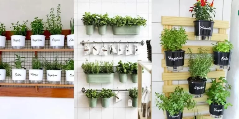 Como fazer uma horta em apartamento