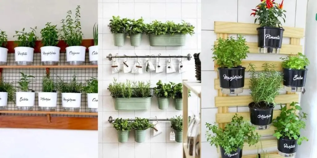 Como fazer uma horta em apartamento 3