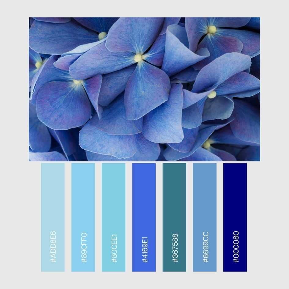 Tons de azul: charme, equilíbrio e inspiração para decorar e criar 4 Paleta de cores tons de azul